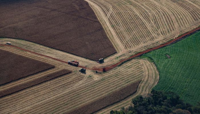 Foto: Jonathan Campos/AEN Paraná teve maior crescimento econômico do Brasil nos primeiros cinco meses de 2025